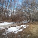 longmont colo frozen lefthand creek Parks and Outdoor Activities in Longmont, CO