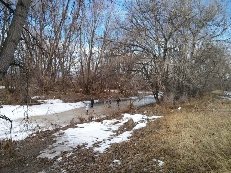 Parks and Outdoor Activities in Longmont, CO